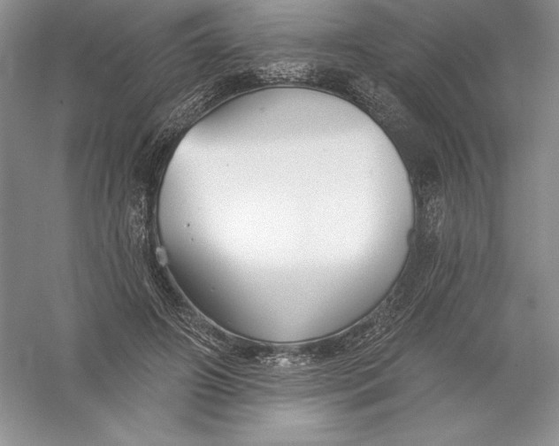 X0000055990498200509092023