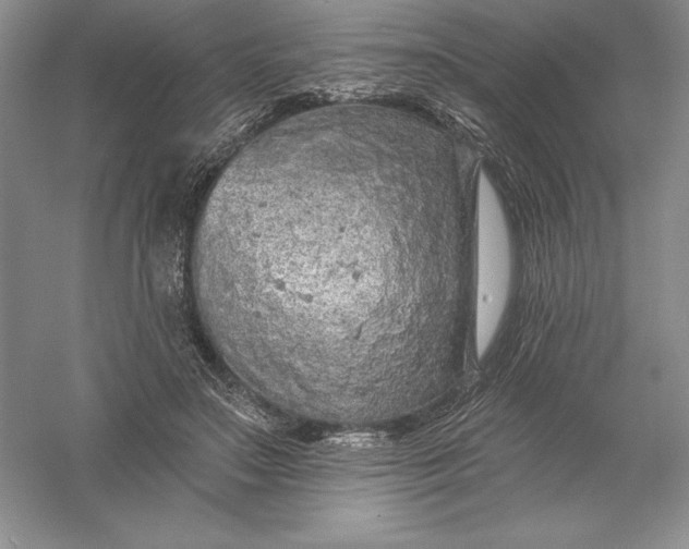 X0000055990499200509092023