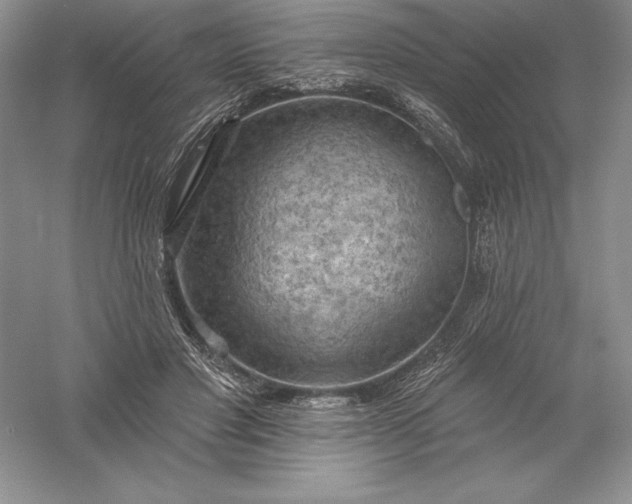 X0000055990501200509092023