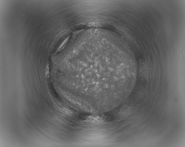 X0000055990502200509092023