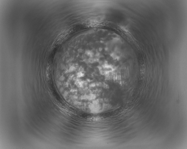 X0000055990503200509092023