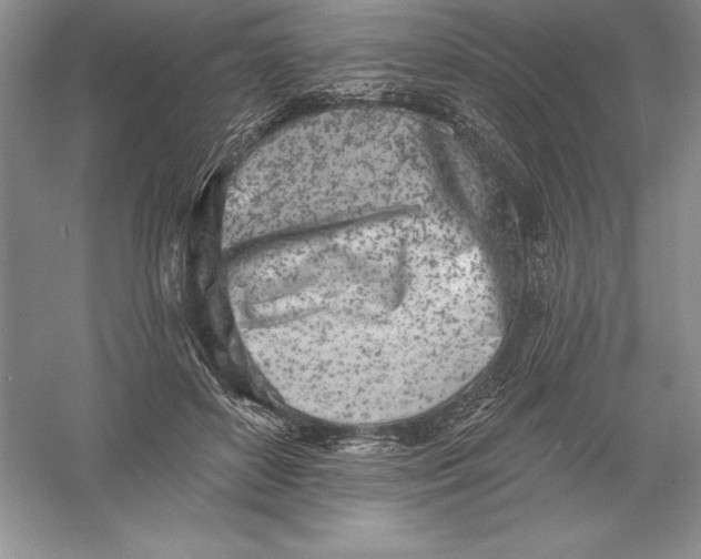 X0000055990504200509092023