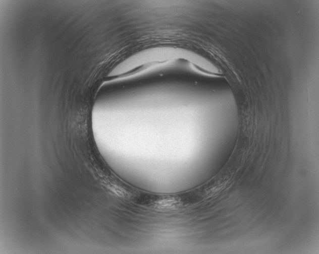 X0000055990505200509092023