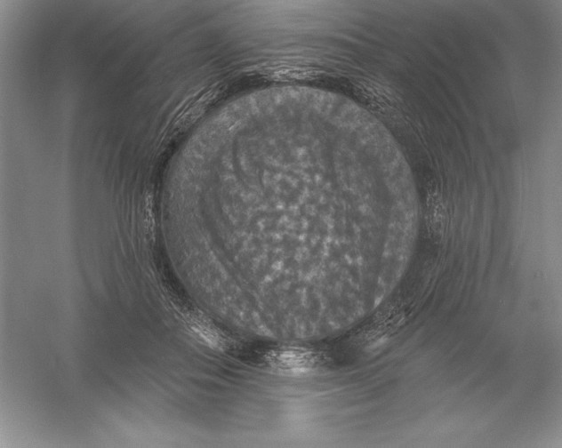 X0000055990506200509092023