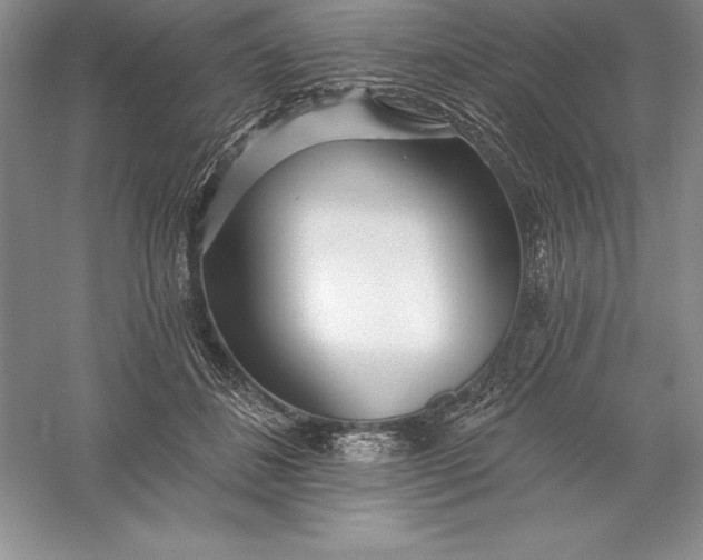 X0000055990508200509092023