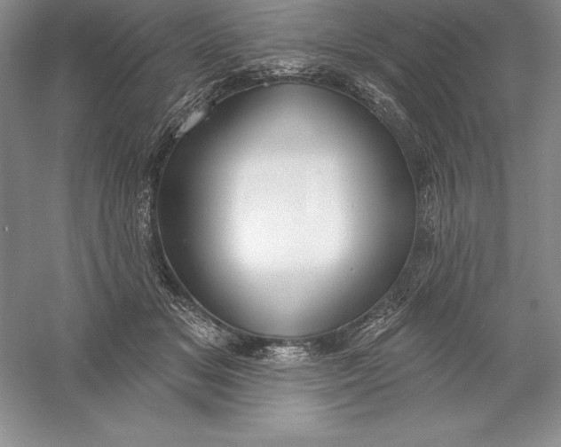 X0000055990509200509092023