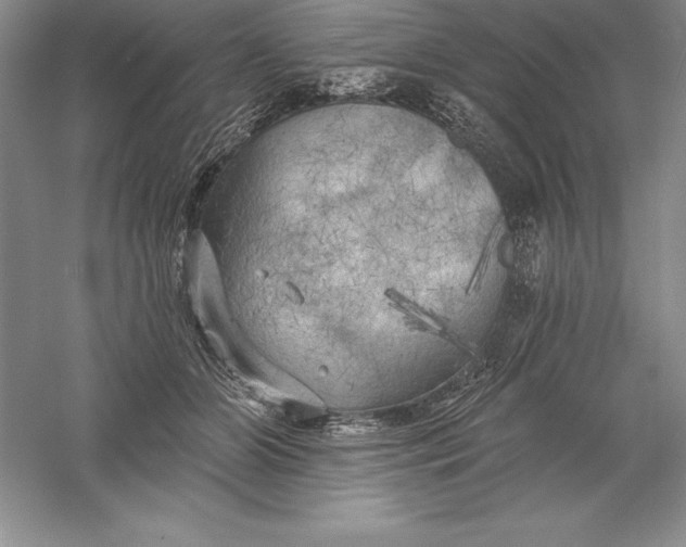 X0000055990510200509092023