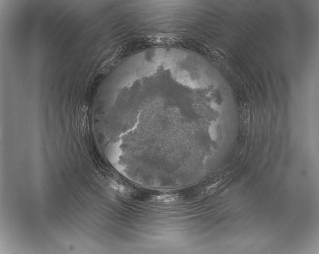 X0000055990511200509092023