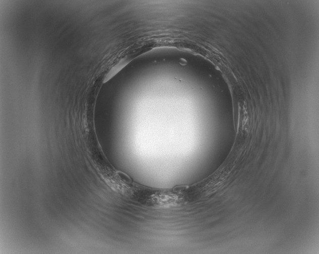 X0000055990512200509092023