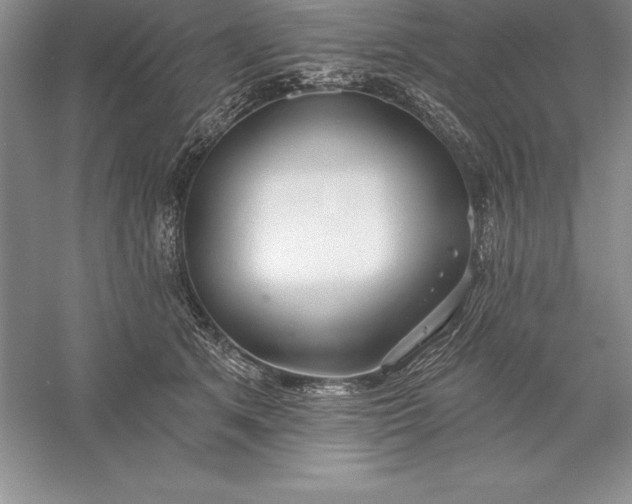 X0000055990513200509092023