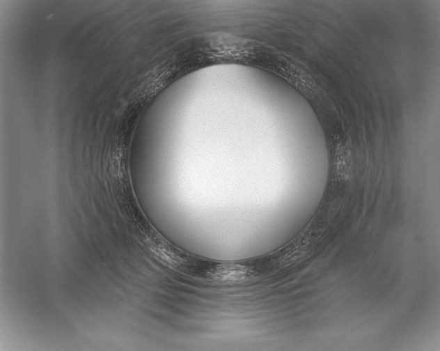 X0000055990514200509092023