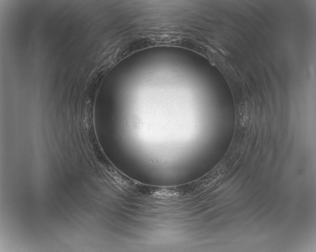 X0000055990515200509092023