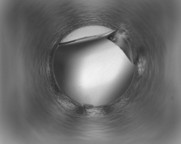 X0000055990516200509092023