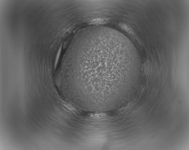 X0000055990517200509092023