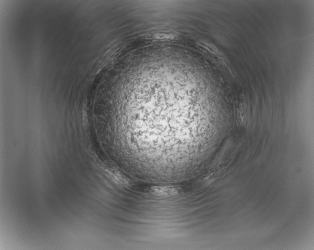 X0000055990520200509092023