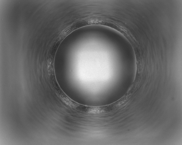 X0000055990521200509092023