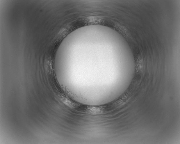 X0000055990522200509092023