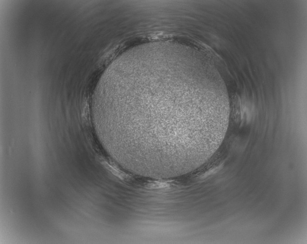 X0000055990523200509092023