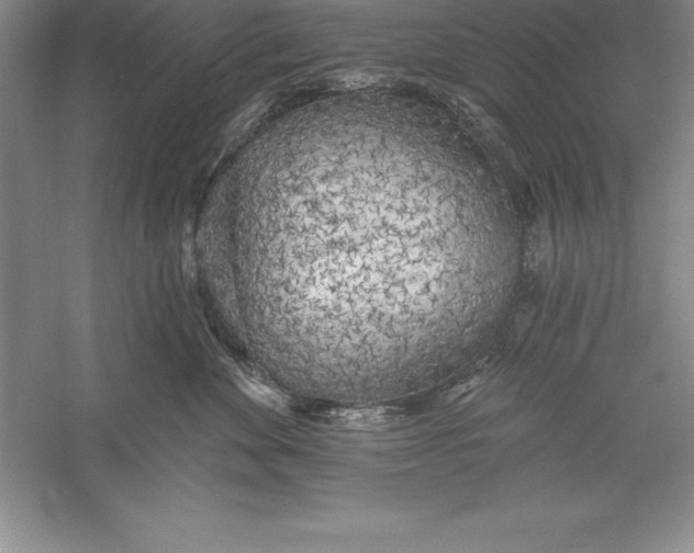 X0000055990524200509092023