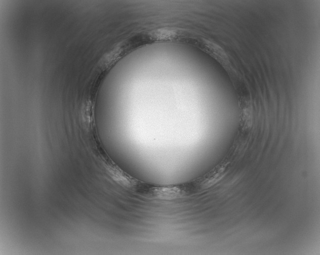 X0000055990525200509092023