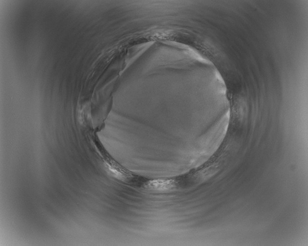 X0000055990526200509092023