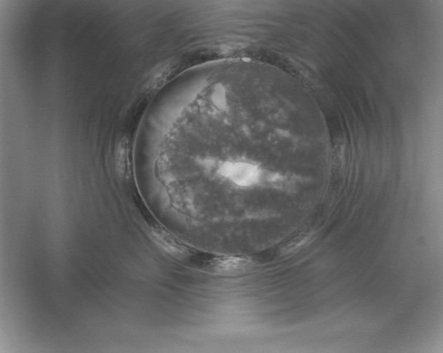 X0000055990527200509092023