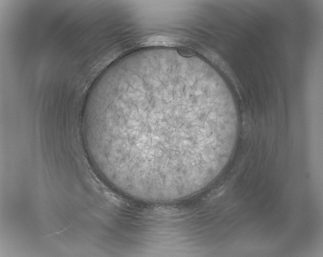 X0000055990529200509092022