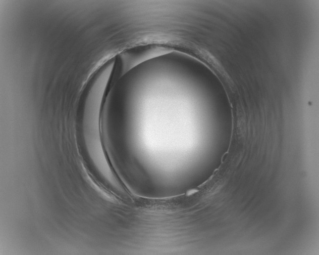 X0000055990530200509092022