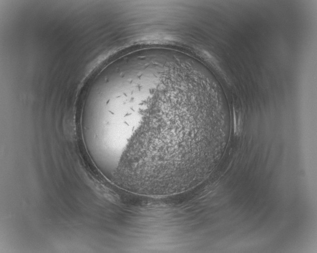 X0000055990531200509092022