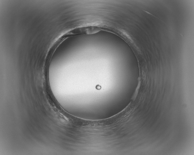 X0000055990532200509092022