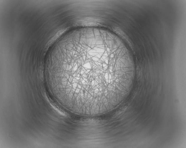 X0000055990533200509092022