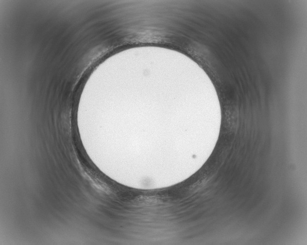 X0000055990534200509092022