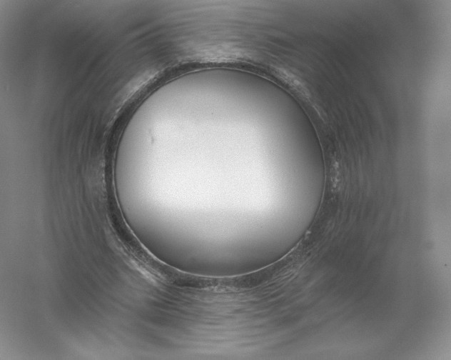 X0000055990535200509092022