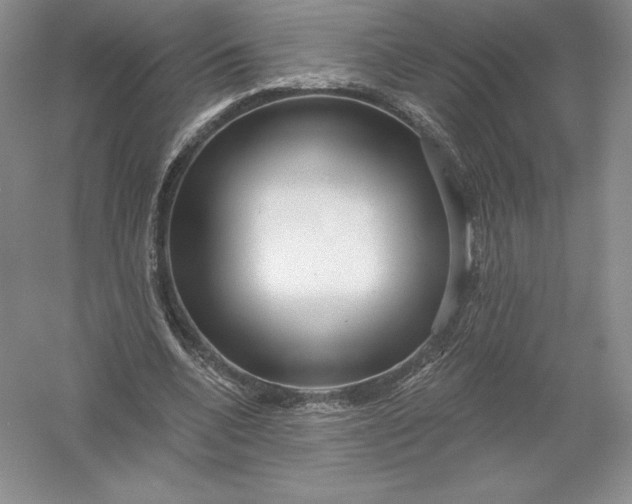 X0000055990536200509092022