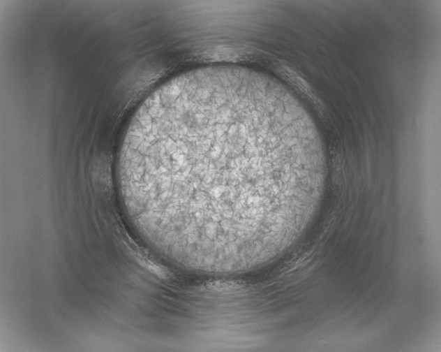 X0000055990537200509092022