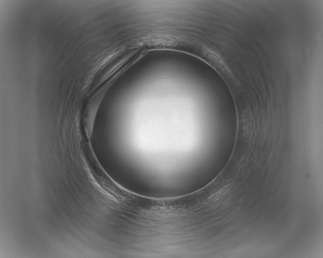 X0000055990538200509092022