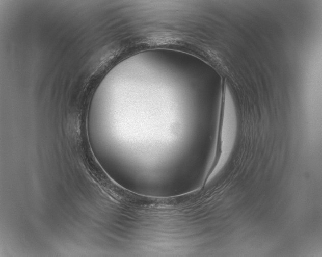 X0000055990539200509092022