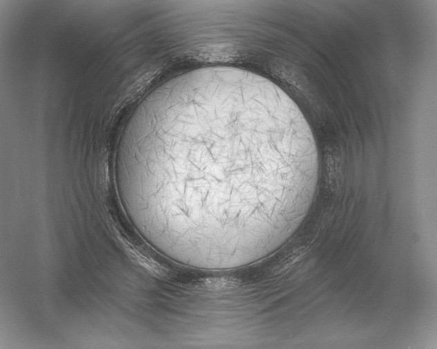 X0000055990541200509092022