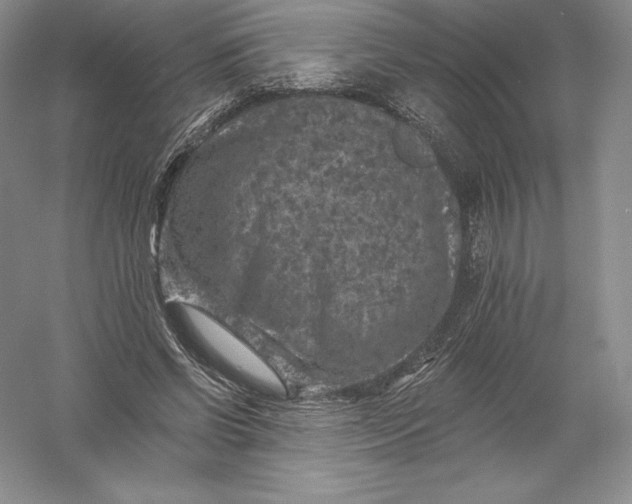 X0000055990542200509092022