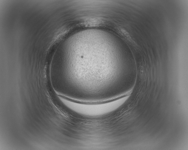 X0000055990543200509092022