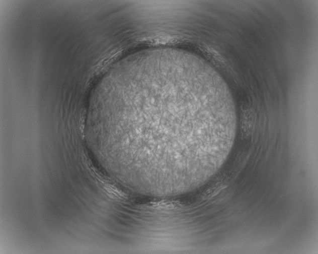 X0000055990545200509092022