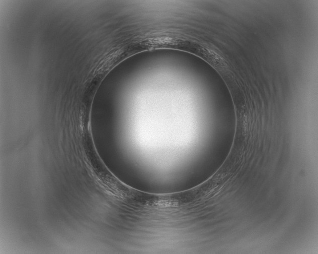 X0000055990546200509092022