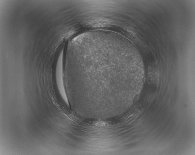 X0000055990547200509092022