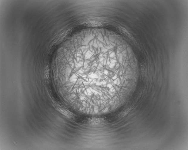 X0000055990549200509092022