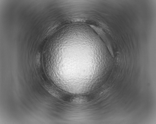 X0000055990550200509092022