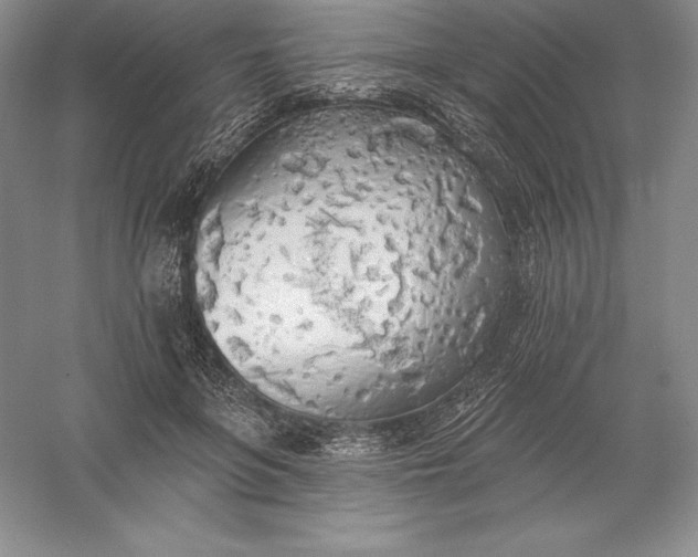 X0000055990551200509092022