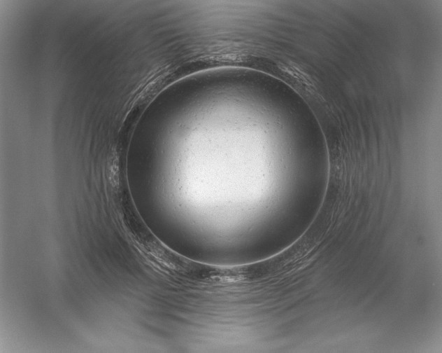 X0000055990552200509092022