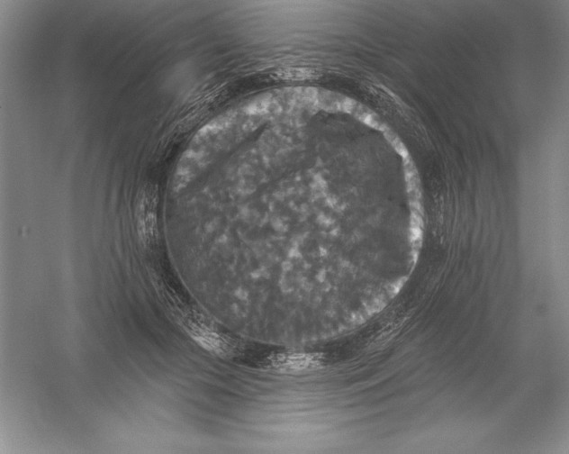 X0000055990553200509092022