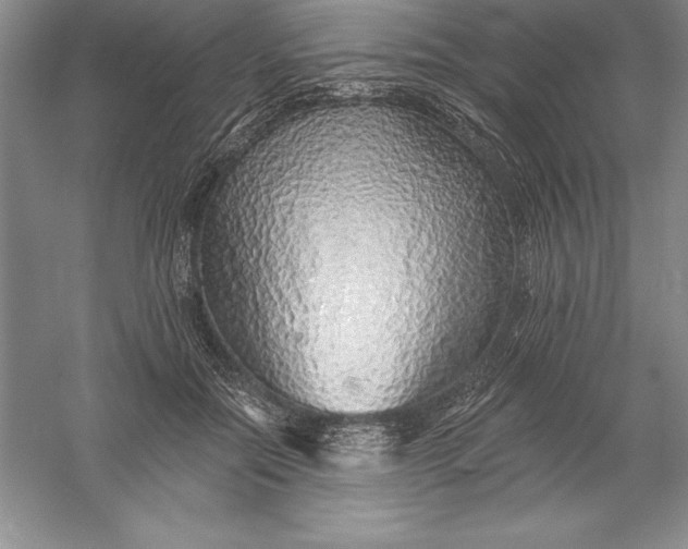 X0000055990554200509092022