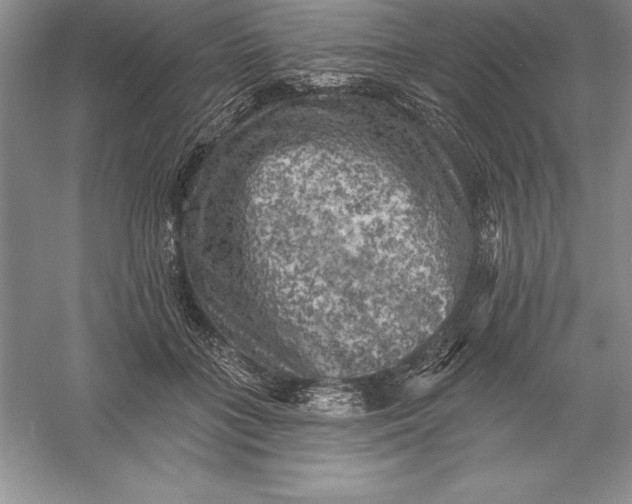 X0000055990555200509092022